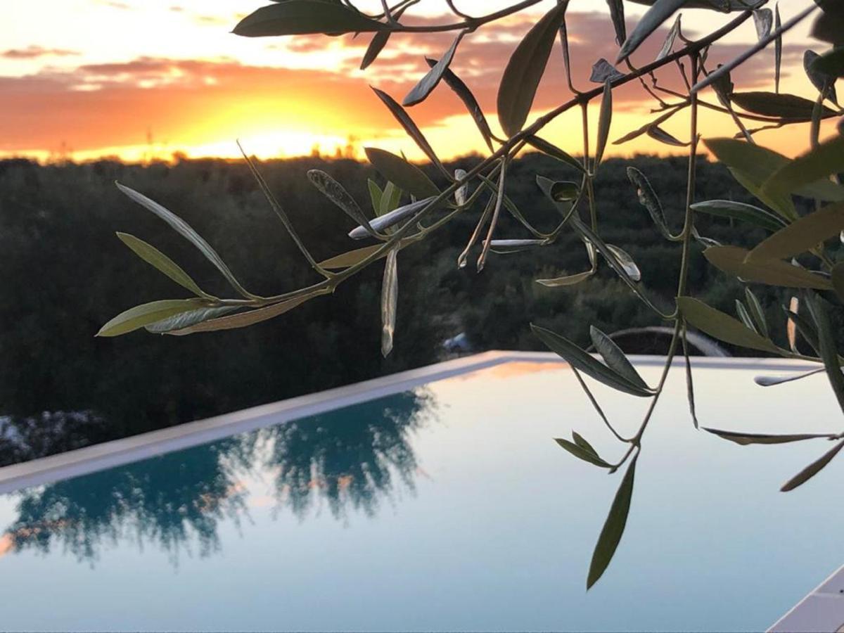 Feudi Mandolivo Bed and Breakfast Ostuni Buitenkant foto