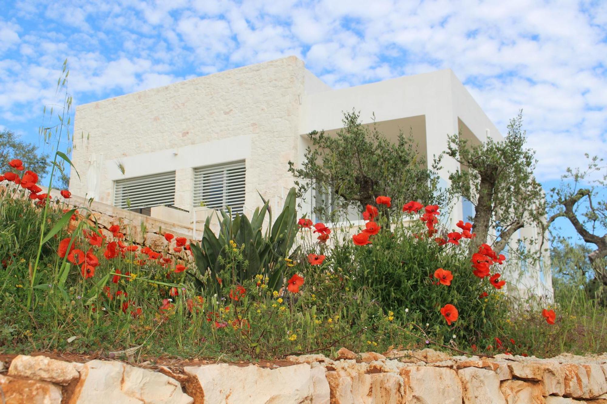 Feudi Mandolivo Bed and Breakfast Ostuni Buitenkant foto
